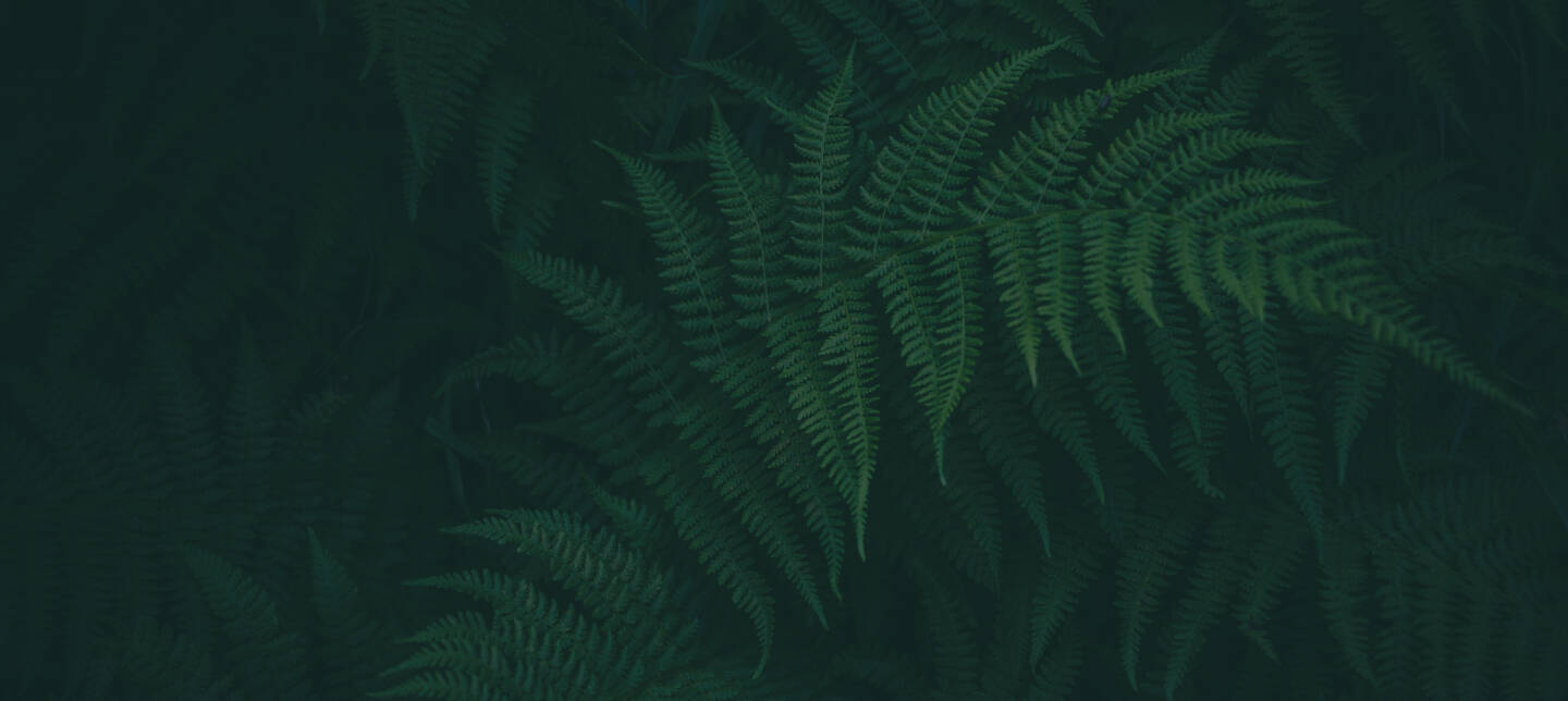 slide-01